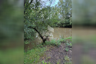  terrain mtpon-menesterol 24700