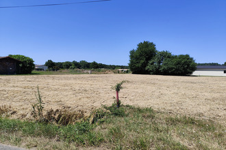  terrain mtpon-menesterol 24700