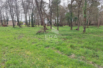  terrain mtpon-menesterol 24700