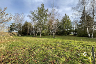  terrain mtrieux-en-sologne 41210