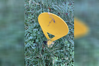  terrain mtrieux-en-sologne 41210