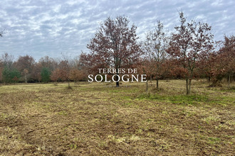  terrain mtrieux-en-sologne 41210