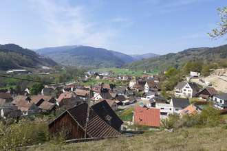  terrain muhlbach-sur-munster 68380