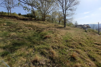  terrain muhlbach-sur-munster 68380