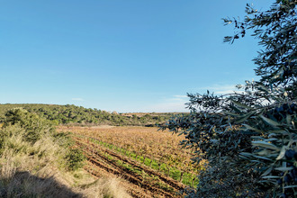  terrain murviel-les-beziers 34490