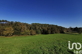  terrain nabirat 24250