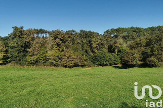  terrain nabirat 24250