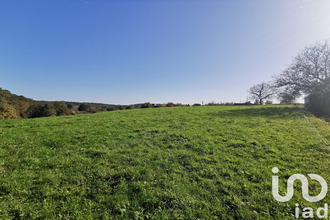  terrain nabirat 24250