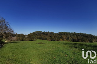  terrain nabirat 24250