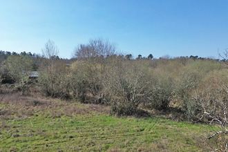  terrain nabirat 24250