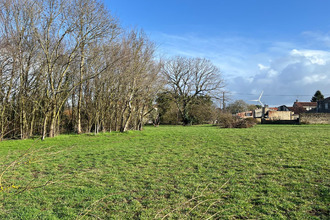  terrain nachamps 17380