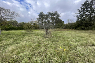  terrain nailly 89100