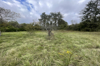  terrain nailly 89100