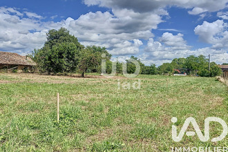  terrain negrepelisse 82800