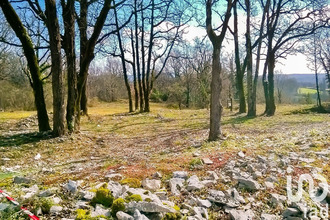  terrain nespouls 19600