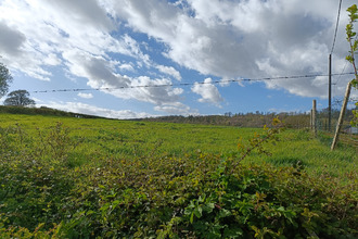  terrain nielles-les-blequin 62380