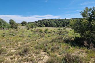  terrain nissan-lez-enserune 34440