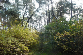  terrain nivillac 56130