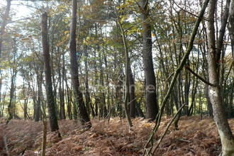  terrain nivillac 56130