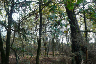  terrain nivillac 56130