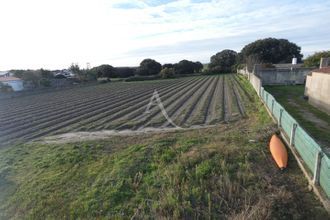  terrain noirmoutier-en-l-ile 85330