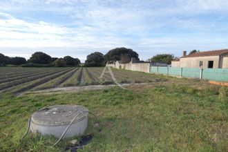  terrain noirmoutier-en-l-ile 85330