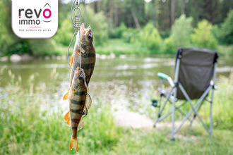  terrain nort-sur-erdre 44390