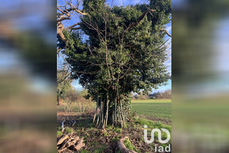  terrain nort-sur-erdre 44390