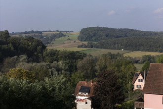  terrain oberdorf-spachbach 67360