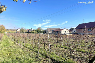  terrain obermorschwihr 68420