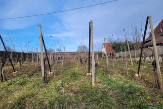  terrain obermorschwihr 68420