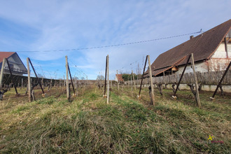  terrain obermorschwihr 68420