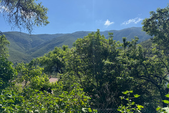  terrain occhiatana 20226