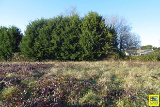  terrain oeyregave 40300