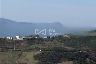  terrain olmeta-di-tuda 20232