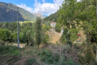  terrain olmiccia 20112