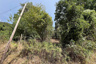  terrain olmiccia 20112