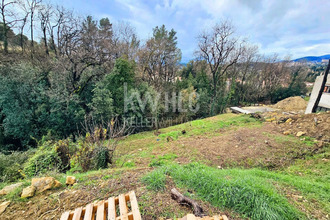  terrain opio 06650