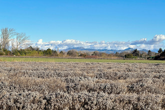  terrain orange 84100