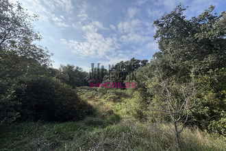  terrain orange 84100