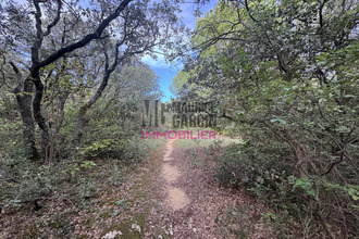  terrain orange 84100