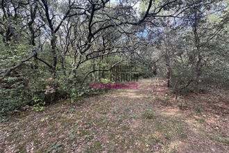  terrain orange 84100