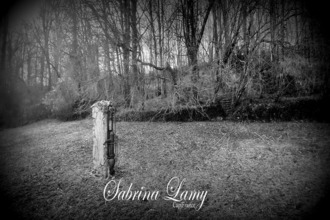  terrain orbais-l-abbaye 51270