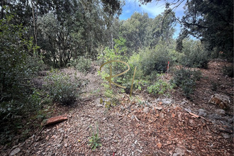  terrain orgnac-l-aven 07150