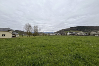  terrain orincles 65380