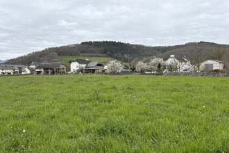  terrain orincles 65380