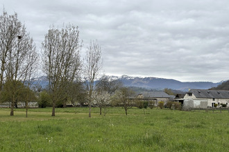  terrain orincles 65380