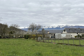  terrain orincles 65380