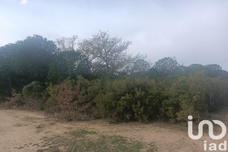  terrain ortaffa 66560