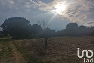  terrain ortaffa 66560